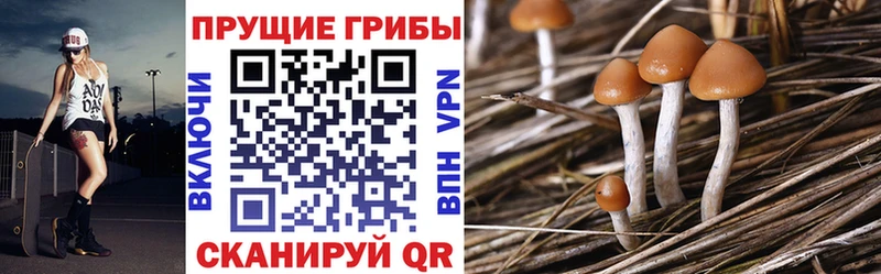 продажа наркотиков  Норильск  kraken вход  Галлюциногенные грибы Cubensis 